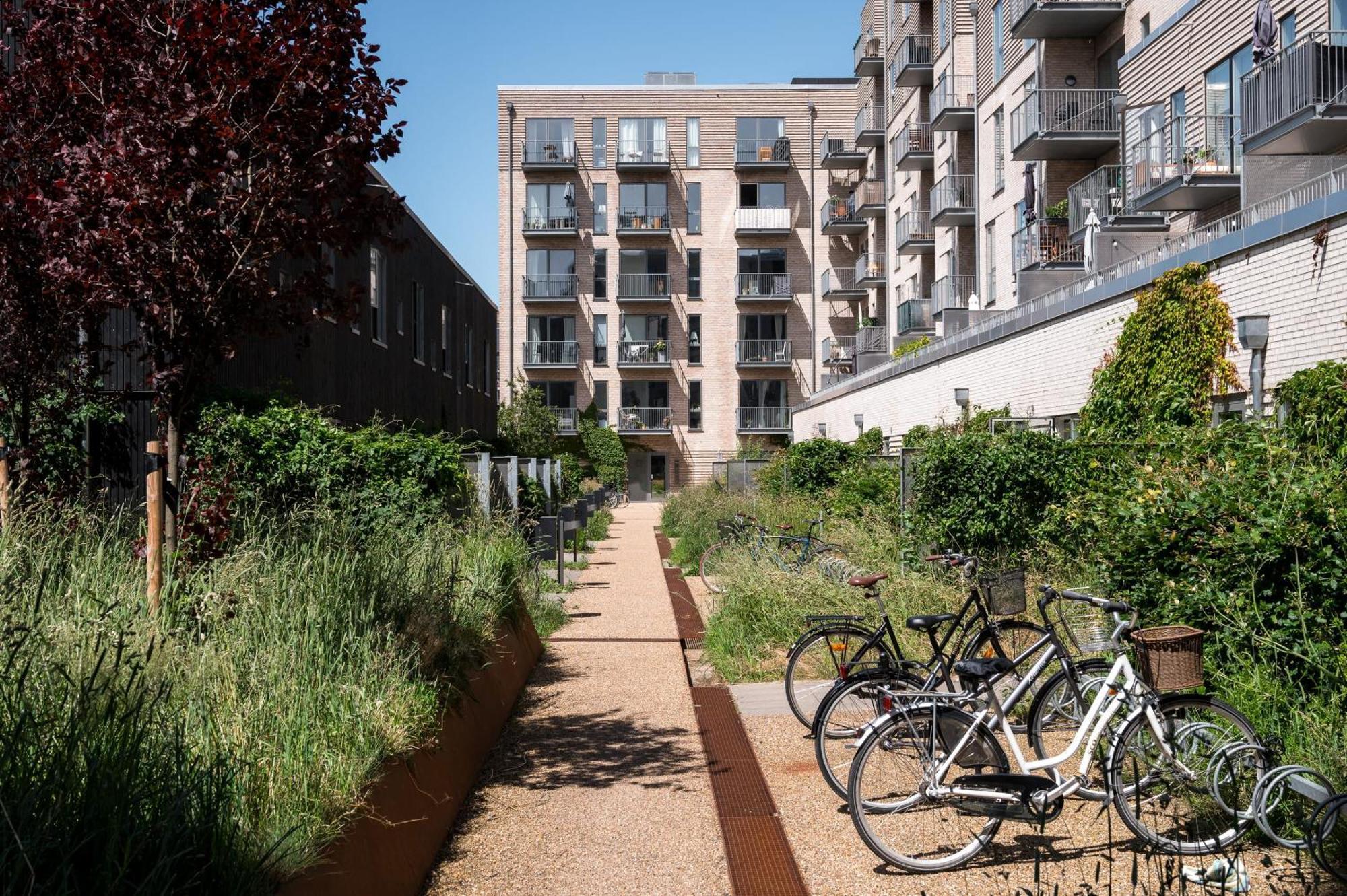 Beach Gardens 46 By Daniel&Jacob'S København Eksteriør billede